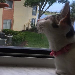 Meet your Posher, Jasmine